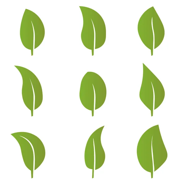 Eco Green Color Leaf Vector Logo Flat Icon Set Isolated — Stockvector