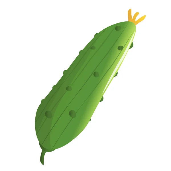Cucumber Vegetable Fresh Product Organic Farm Food Production Vector Illustration — 스톡 벡터