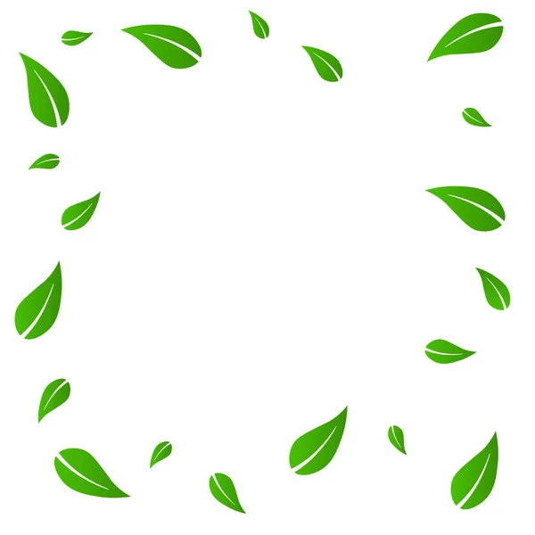 Πέφτουν Πράσινα Φύλλα Φρέσκα Φύλλα Τσαγιού Πετούν Ανοιξιάτικο Φύλλωμα Χορεύει — Διανυσματικό Αρχείο