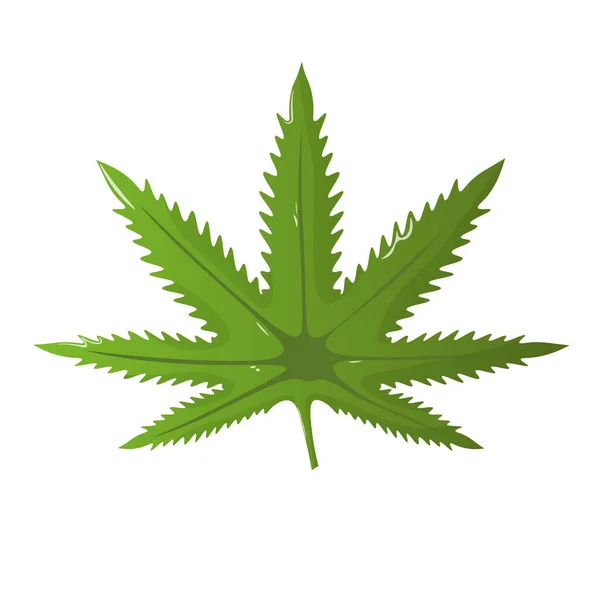Icono Vector Hoja Cannabis Marihuana Legalizar Símbolo Signo Cannabis Medicinal — Vector de stock