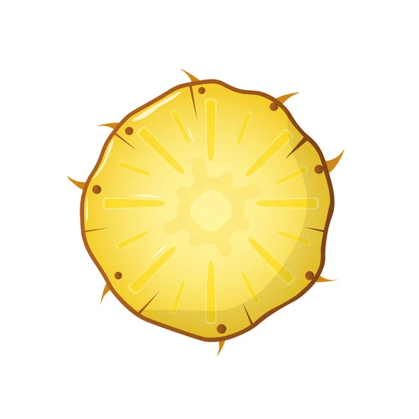 Ilustración Vectorial Del Anillo Piña Aislado Sobre Fondo Blanco Frutas — Vector de stock