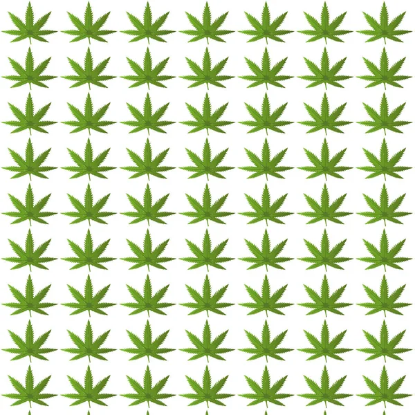 Marihuana Sin Costura Patrón Vector Diseño Textura Floral Hoja Cannabis — Vector de stock