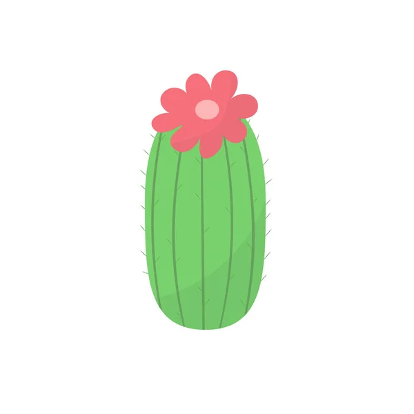 Cute Cactus Succulent Flowers Vector Cartoon Illustration Flat Style Shadows — Stock Vector