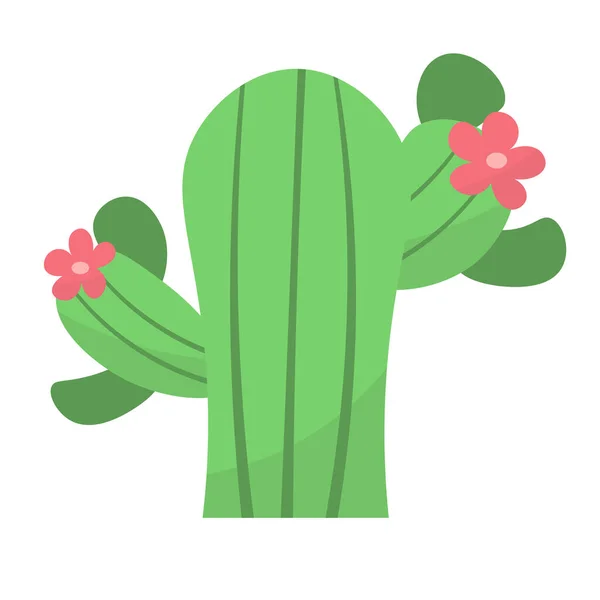 Cactus Lindo Suculento Con Flores Ilustración Dibujos Animados Vectoriales Estilo — Vector de stock