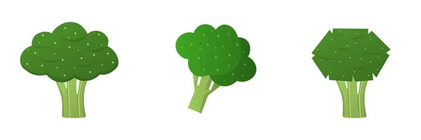 Set Broccoli Vegetable Fresh Farm Healthy Food Broccoli Flat Icon — Vector de stock