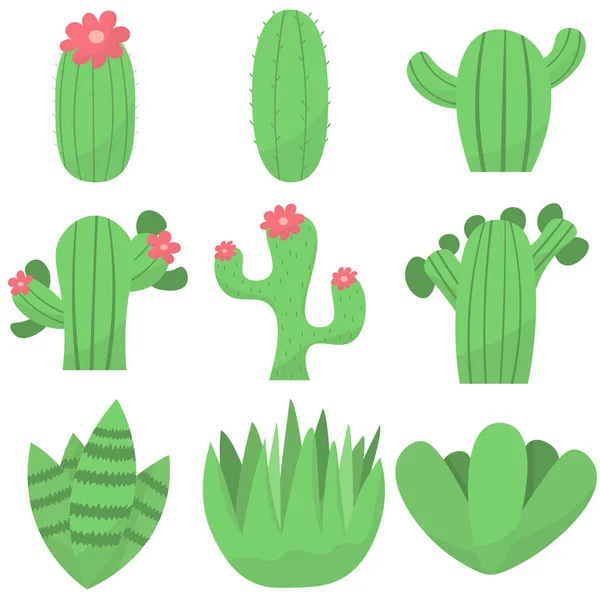 Conjunto Cactus Lindos Suculentos Ilustración Dibujos Animados Vectoriales Estilo Plano — Vector de stock