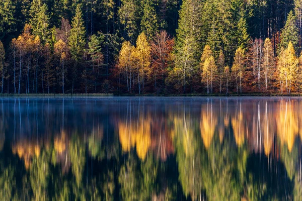 Idilli Őszi Táj Színes Zöld Sárga Fák Tükröződnek Tóban Erdély Stock Fotó