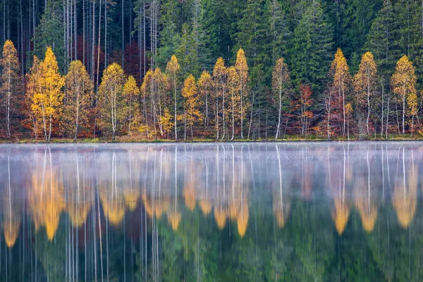 Paisagem Outono Idílica Com Árvores Verdes Amarelas Coloridas Refletindo Lago Imagem De Stock