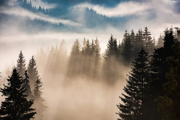 Nevoeiro Dividido Por Raios Solares Vista Manhã Enevoada Área Montanha Imagens Royalty-Free