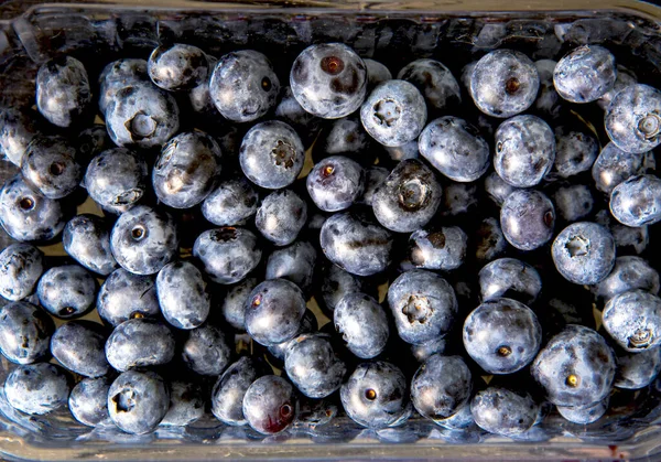 Lot Fresh Blueberries Macro Top View Fresh Blueberries — Foto de Stock