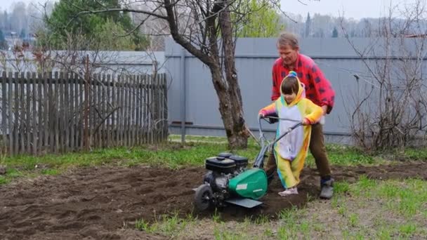 Kinderen in een eenhoorn kostuum helpt een oudere grootvader om te werken in de tuin, ploegen het land met een cultivator — Stockvideo