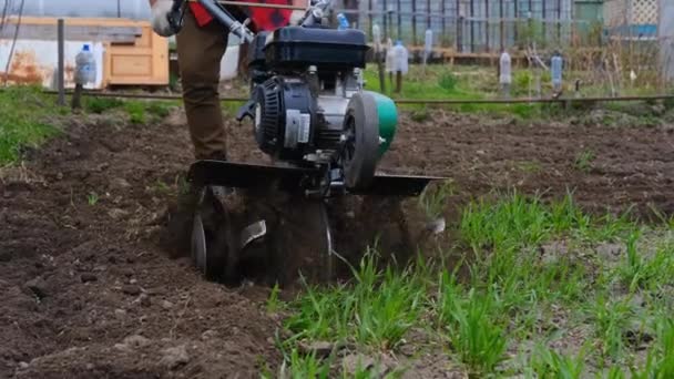 Un homme âgé laboure le sol avec un cultivateur ou un tillerblock — Video