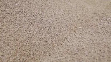 Seçici odaklı fosfor gübre tanecikleri