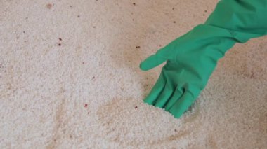 Ürea nitrojen gübre tahıl detayı seçici odaklı