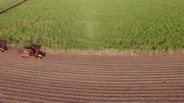 Sugar Cane Hasvest Plantation Three Machines View Aerial — Stock Video