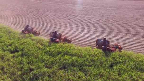 Plantation Hasvest Canne Sucre Avec Trois Machines Vue Aérienne — Video