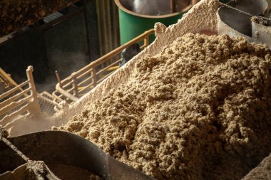 Değirmen işleme şeker kamışı endüstrisi