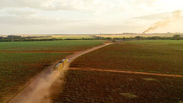 truck transporting freshly cut sugar cane transshipment in plantation vinasse