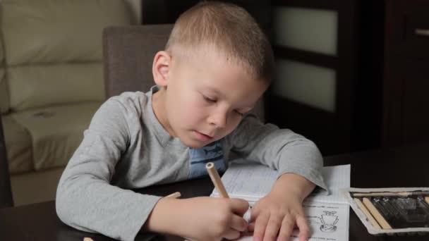 연필을 들고 숙제를 하고 있는 5 세 소년 — 비디오