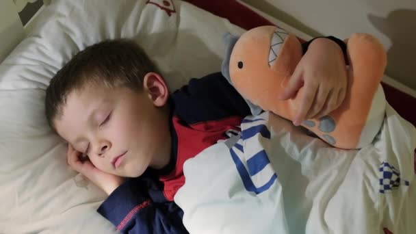一个5岁的男孩睡在他的床上 —— 库存视频 © bosecom@yandex.ru #546298250