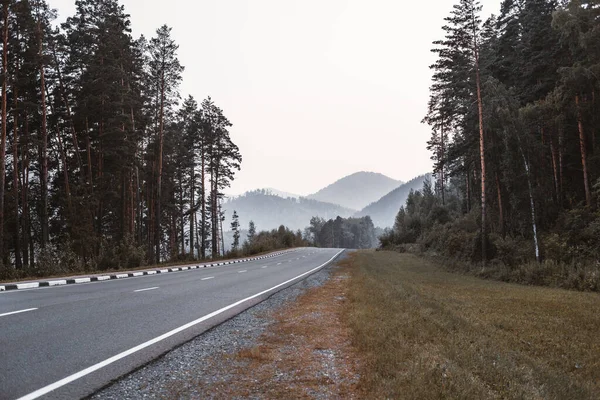 Een Asfaltweg Die Zich Uitstrekt Verte Bergen Met Dennenbossen Aan — Stockfoto