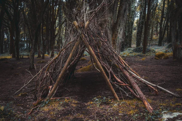 Une Grande Cabane Branches Perruques Sur Une Clairière Sombre Dans — Photo