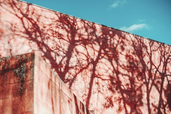 Una Pared Texturizada Hormigón Edificio Rojo Iluminado Por Sol Mañana — Foto de Stock
