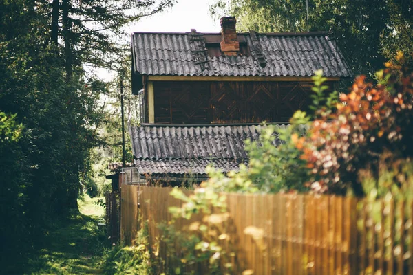 View Mysterious Cozy Narrow Street Pathway Overgrown Trees Grass Suburban — Stock Fotó