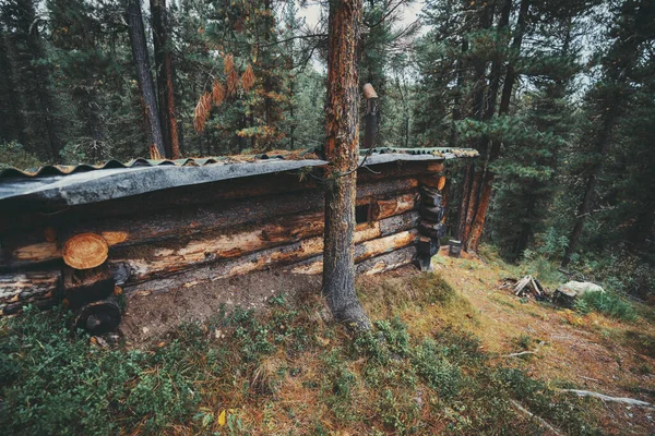 Seitenansicht Eines Unterirdischen Holzhauses Borealen Wald Eine Holzhütte Berghang Umgeben — Stockfoto
