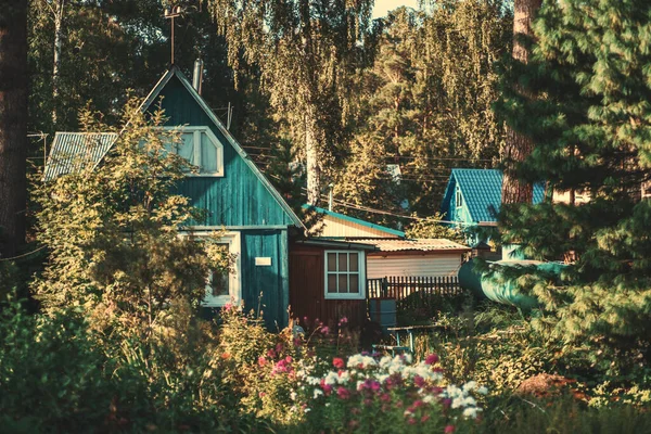 Widok Podmiejski Ogród Warzywny Porośnięty Kwiatami Roślinami Ciemnym Drewnianym Dachem — Zdjęcie stockowe