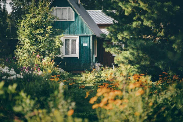 Grădină Vară Pentru Legume Fructe Fructe Pădure Suprasolicitate Flori Plante — Fotografie, imagine de stoc