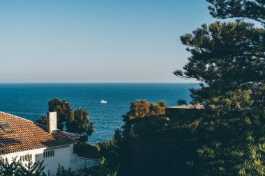 Kıyı şeridi çam ağacı ve ön planda kil çatılı bir ev olan sıcak ve güneşli bir günde mavi okyanusta yelken açan küçük bir teknenin seçici odak noktası.