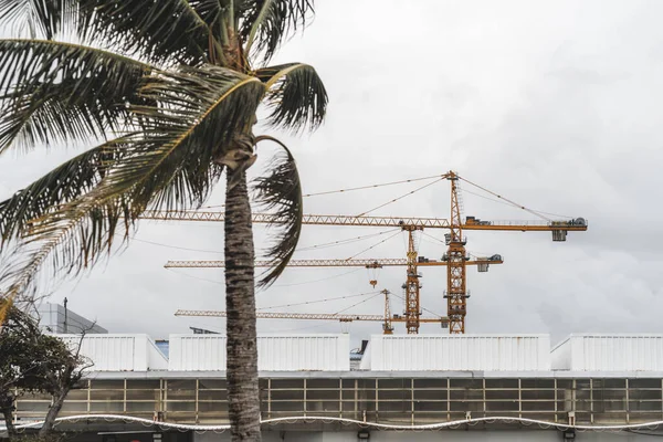 View of the construction site hidden by a building elevation, with a selective focus on three cranes one by one in the background; a palm tree bent by the strong wind in a defocused foreground