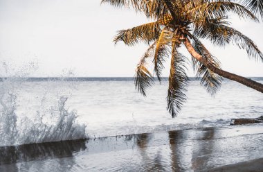 Lüks bir tropikal tatil köyünün kıyı şeridini, lüks bir Maldivler tatil köyünün rıhtımına düşen su dalgaları üzerine seçici bir odak noktası, bir palmiye ağacı ve çözünmüş arka planda bir okyanus ufkunun manzarası.