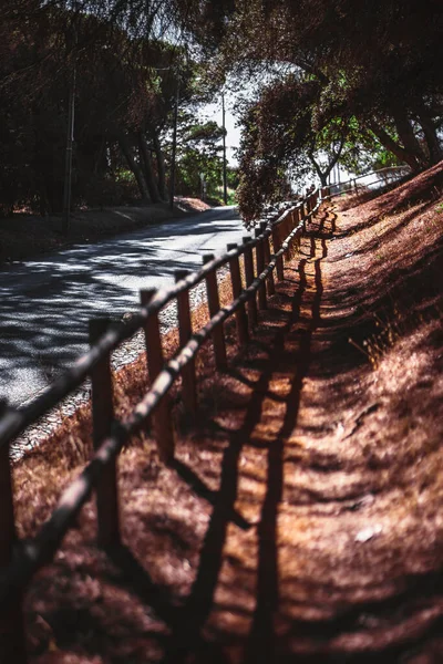 Tiro Vertical Com Uma Profundidade Rasa Campo Foco Seletivo Uma — Fotografia de Stock