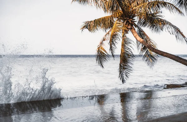 俯瞰奢华热带度假胜地的海岸线 有选择地把重点放在马尔代夫一个豪华度假胜地的码头上的海浪冲撞上 棕榈树 以及背景分散的海洋地平线 — 图库照片
