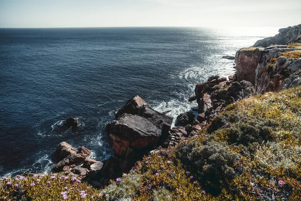 Een Weids Uitzicht Vanaf Klif Van Een Prachtige Oceaankust Begroeid — Stockfoto