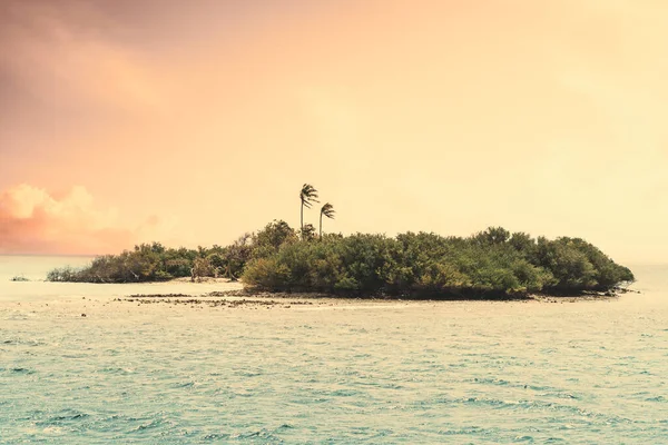 Uma Vista Perto Uma Minúscula Ilha Das Maldivas Coberta Arbustos — Fotografia de Stock
