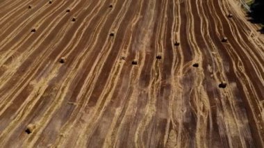 Yuvarlak saman balyalarının arasında uçan bir hava..