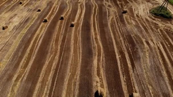 Luftflug durch ein Feld aus runden Heuballen. — Stockvideo