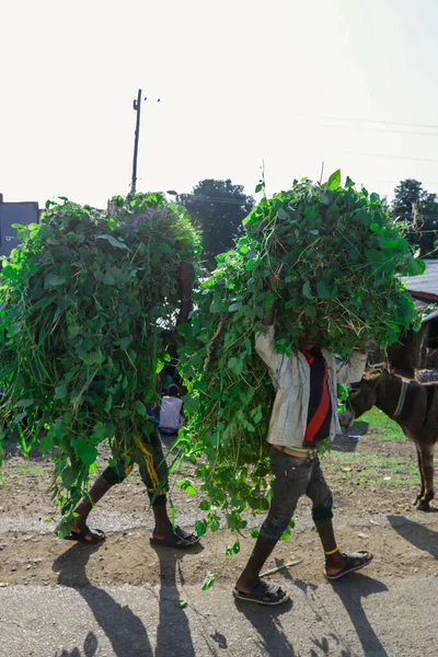 Lalibela Ethiopië Augustus 2020 Arme Ethiopiërs Glimlachen Landweg — Stockfoto