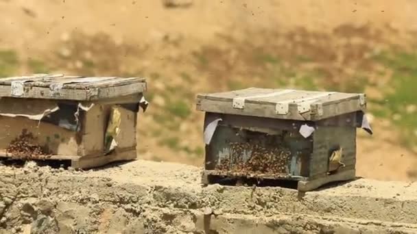 Footage Wooden Beehive Authentic Village Pakistan Mountains — стоковое видео
