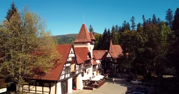 Aerial Footage Ancient Romanian Castle Heart Awesome Autumn Green Forest — Video