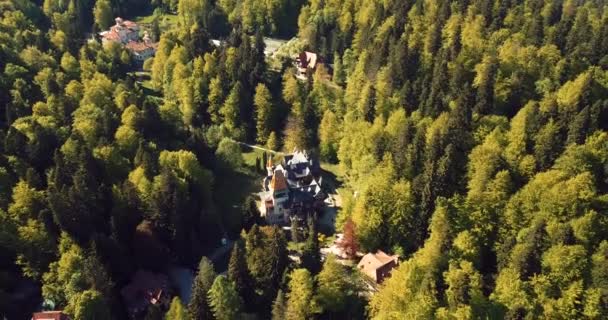 Aerial Footage Spectacular Green Natural Forest View Romanian Mountains Pelisor — Stockvideo