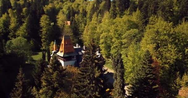 Aerial Footage Spectacular Green Natural Forest View Romanian Mountains Pelisor — Wideo stockowe