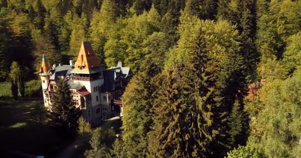 Aerial Footage Spectacular Green Natural Forest View Romanian Mountains Pelisor — Stock video