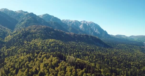 ルーマニアの山々 Pelisorでの壮大な緑と自然の森の景色の4K空撮 — ストック動画