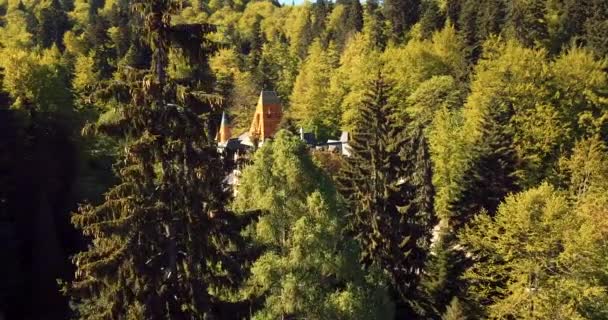 Aerial Footage Spectacular Green Natural Forest View Romanian Mountains Pelisor — Stock video