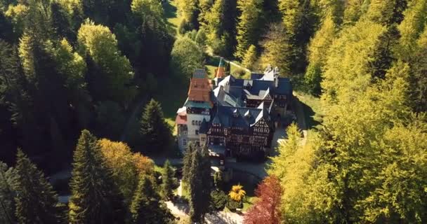 Aerial Footage Ancient Romanian Castle Heart Awesome Autumn Green Forest — Stockvideo