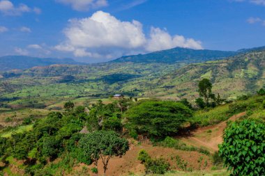 Omo Nehri Vadisi, Etiyopya 'nın Bulutlu Mavi Gökyüzünün Altındaki Yeşil Ağaçlar ve Dağlara Panoramik Görünüm